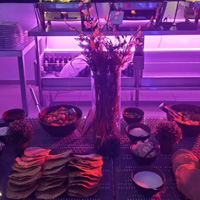 Rinen Terraza Mexicano